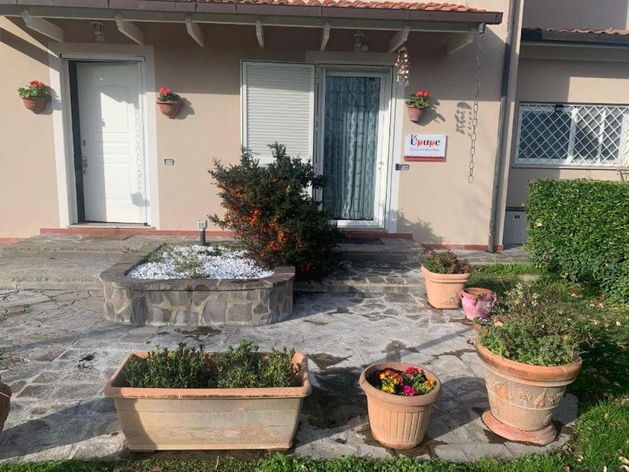Leupupe Relax Cultura Mare Monti Apartment กาสชินา ภายนอก รูปภาพ